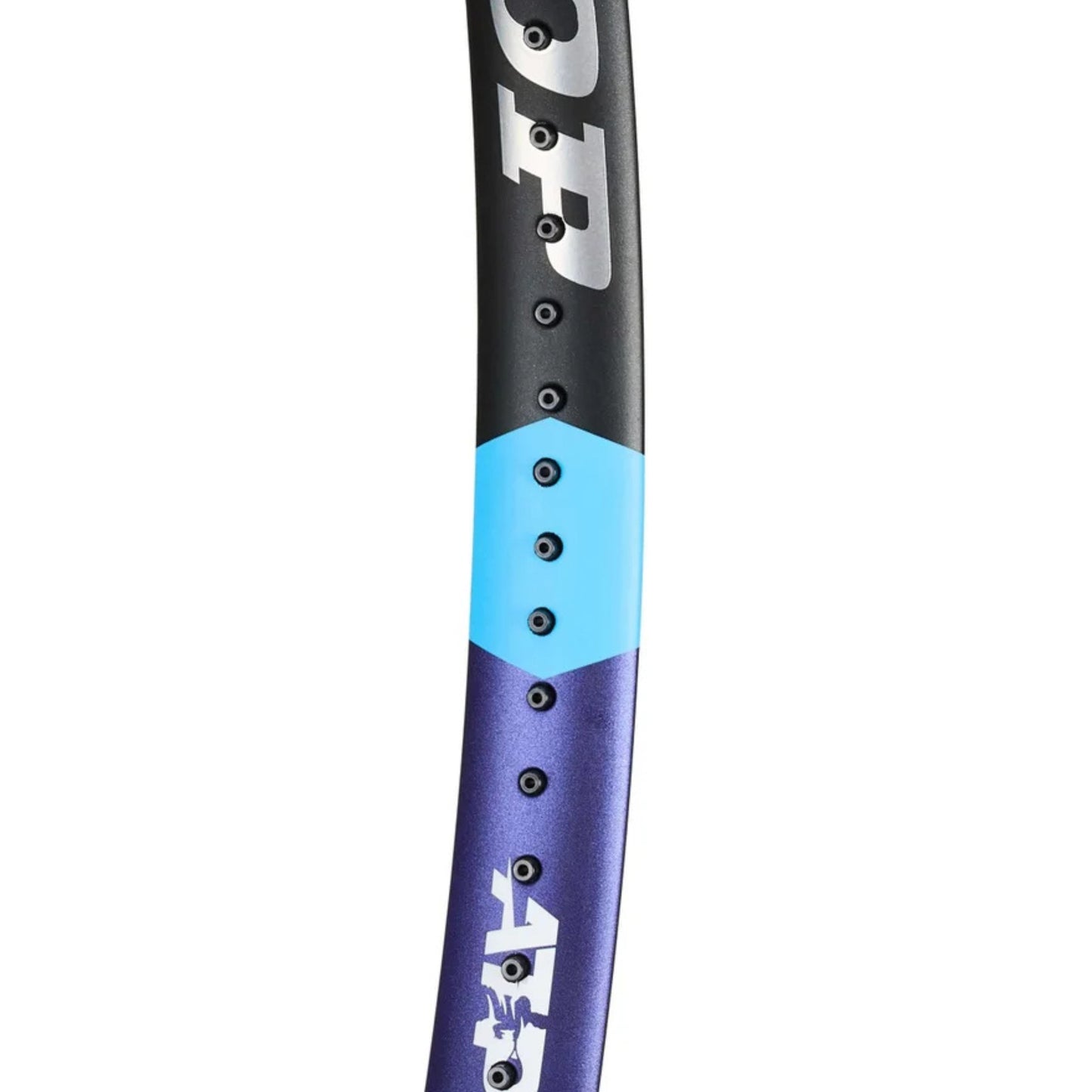 DUNLOP RACKET FX500 16X19 300G PURPLE/BLUE