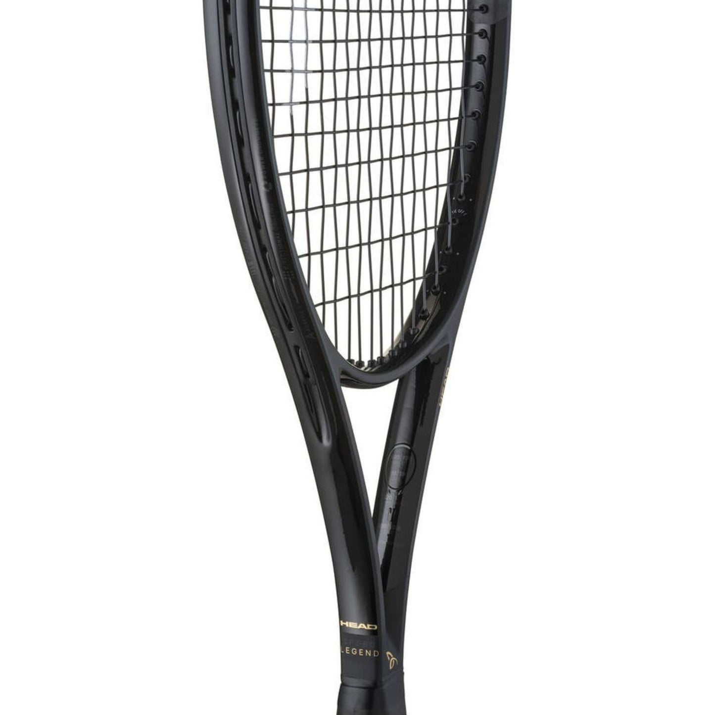 HEAD RACKET SPEED LEGEND MP AUX 2.0 16X19 300G