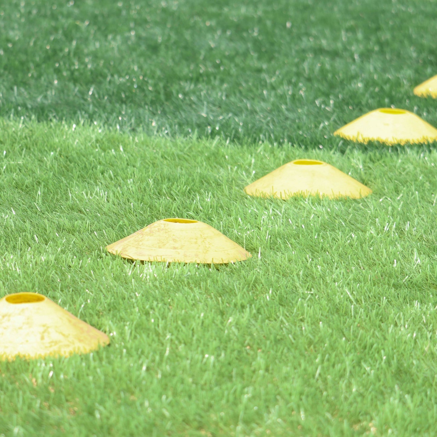 CONES ECONOMY 2''PLUS CARRY BAG (50)