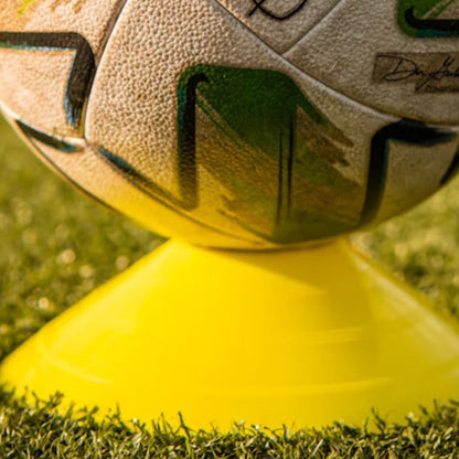 CONES ECONOMY 2''PLUS CARRY BAG (50)