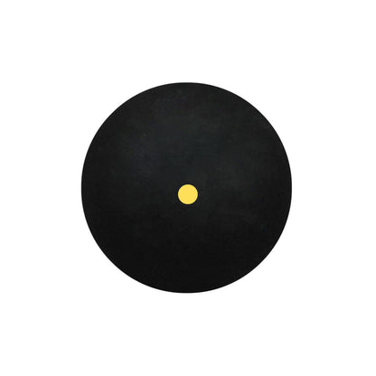 DUNLOP BALL SQUASH COMPETITION (3)