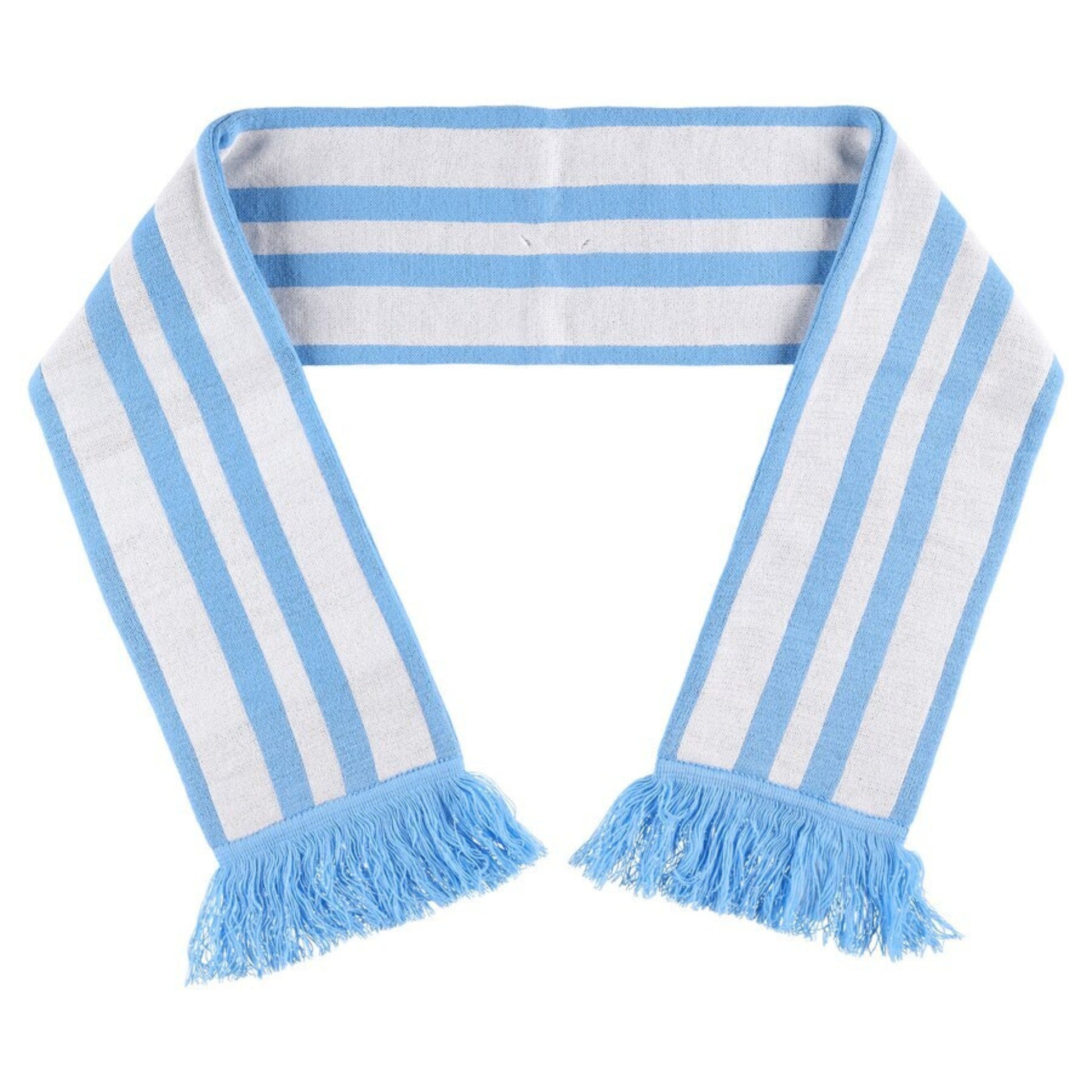 Blue and white striped scarf with fringes on a white background