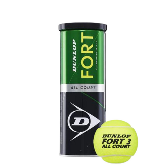 DUNLOP BALL TENNIS FORT ALL COURT S/L / CAN (3)