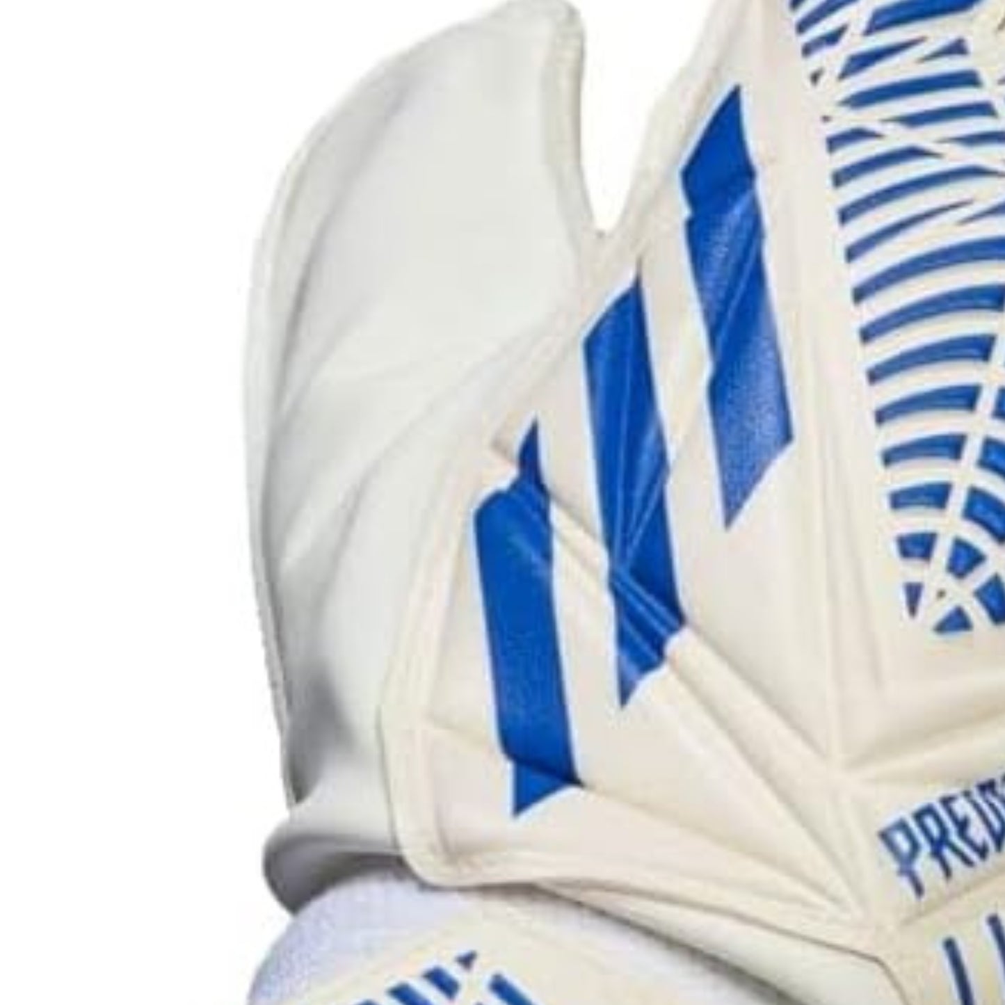 Close-up of a white and blue soccer glove with 'Predator' branding.