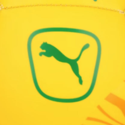 PUMA BALL SOCCER SUNDOWNS PRE MATCH YELLOW (AW24)
